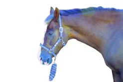 Hy Tartan Head Collar With Lead Rope