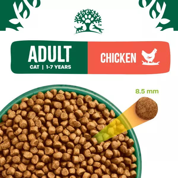 James Wellbeloved Adult Cat Dry Food Chicken 3 James Wellbeloved Adult Cat Dry Food Chicken - Image 3