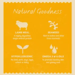 James Wellbeloved Adult Dog Wet Food Lamb In Gravy 10 James Wellbeloved Adult Dog Wet Food Lamb In Gravy -Pet World Outlet Sales james wellbeloved adult dog wet food lamb in gravy 0w88.jpg