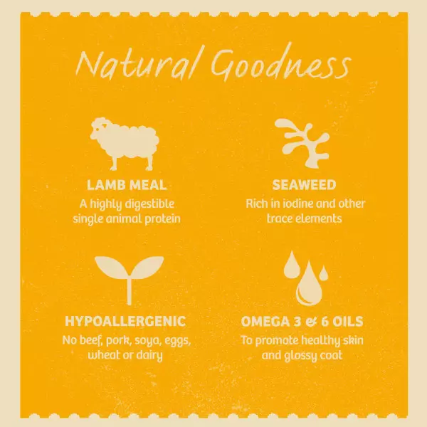 James Wellbeloved Adult Dog Wet Food Lamb In Gravy 4 James Wellbeloved Adult Dog Wet Food Lamb In Gravy - Image 4