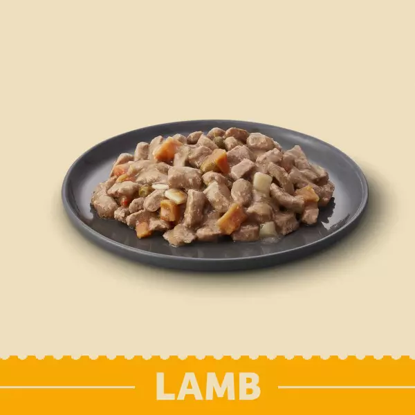 James Wellbeloved Adult Dog Wet Food Lamb In Gravy 3 James Wellbeloved Adult Dog Wet Food Lamb In Gravy - Image 3