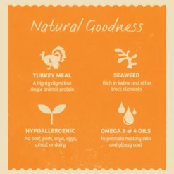 James Wellbeloved Grain Free Adult Dog Turkey In Gravy 8 James Wellbeloved Grain Free Adult Dog Turkey In Gravy -Pet World Outlet Sales james wellbeloved grain free adult dog turkey in gravy 8n1z.jpg