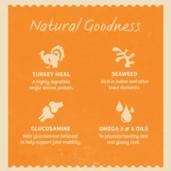 James Wellbeloved Grain Free Senior Dog Turkey In Gravy -Pet World Outlet Sales james wellbeloved grain free senior dog turkey in gravy 9wy3.jpg