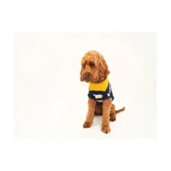Joules Coastal Jumper For Dogs 8 Joules Coastal Jumper For Dogs -Pet World Outlet Sales joules coastal jumper for dogs 6rnr.jpg