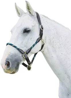 Kincade Braided Leather Navy Headcollar