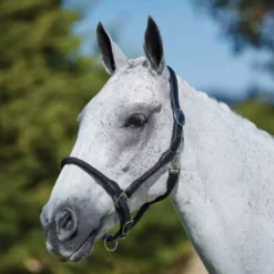 Kincade Leather/Rope Headcollar