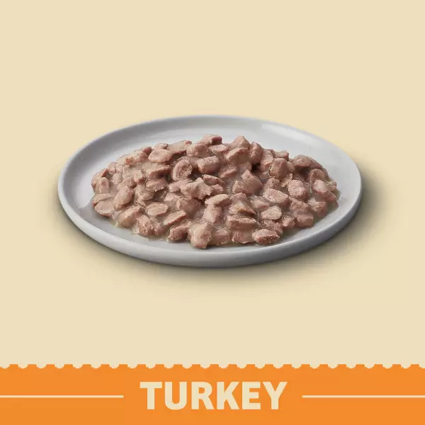 James Wellbeloved Grain Free Turkey In Gravy Kitten Pouches 3 James Wellbeloved Grain Free Turkey In Gravy Kitten Pouches - Image 3