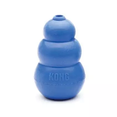 KONG Blue Dog Toy 1 KONG Blue Dog Toy