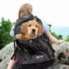 Kurgo G-train K9 Rucksack