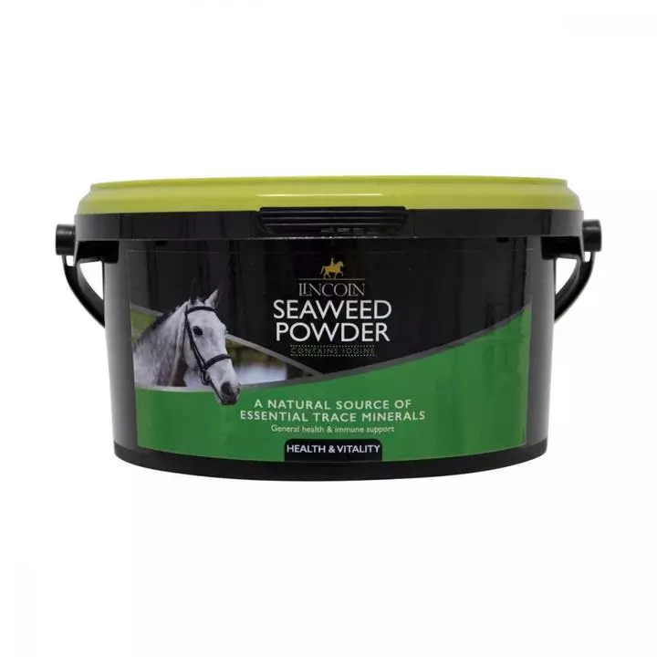Lincoln Seaweed Powder 1 Lincoln Seaweed Powder