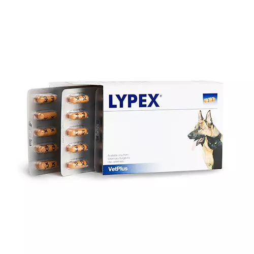 Lypex Pancreatic Enzyme Capsules 1 Lypex Pancreatic Enzyme Capsules