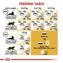 ROYAL CANIN® Maine Coon Adult Dry Cat Food -Pet World Outlet Sales maine coon 009t.jpg