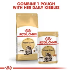 ROYAL CANIN® Maine Coon Adult Dry Cat Food -Pet World Outlet Sales maine coon e1is.jpg