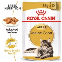 ROYAL CANIN® Maine Coon Adult Dry Cat Food -Pet World Outlet Sales maine coon img2.jpg