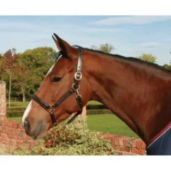 Mark Todd Raised Fancy Stitch Leather Head Collar Havana