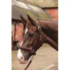 Mark Todd Raised Fancy Stitch Leather Head Collar Red/Brown