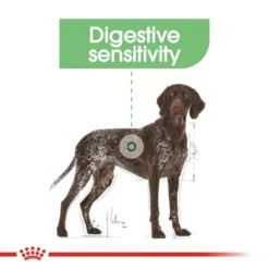 ROYAL CANIN® Maxi Digestive Care Adult Dog Food -Pet World Outlet Sales maxi digestive care dg9z.jpg