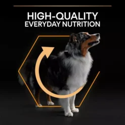 PRO PLAN Medium Everyday Nutrition Adult 1+ Chicken Dog Food -Pet World Outlet Sales medium adult bug3.jpg