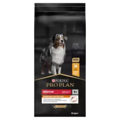 PRO PLAN Medium Everyday Nutrition Adult 1+ Chicken Dog Food