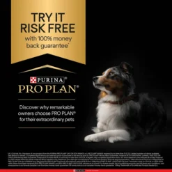 PRO PLAN Medium Sensitive Digest Adult 1+ Lamb Dog Food 23 PRO PLAN Medium Sensitive Digest Adult 1+ Lamb Dog Food -Pet World Outlet Sales medium adult sensitive digestion lamb 68jj.jpg