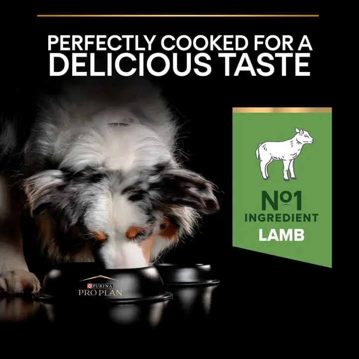 PRO PLAN Medium Sensitive Digest Adult 1+ Lamb Dog Food 4 PRO PLAN Medium Sensitive Digest Adult 1+ Lamb Dog Food - Image 4