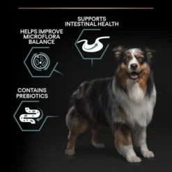 PRO PLAN Medium Sensitive Digest Adult 1+ Lamb Dog Food 14 PRO PLAN Medium Sensitive Digest Adult 1+ Lamb Dog Food -Pet World Outlet Sales medium adult sensitive digestion lamb jk9g.jpg