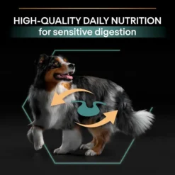PRO PLAN Medium Sensitive Digest Adult 1+ Lamb Dog Food 17 PRO PLAN Medium Sensitive Digest Adult 1+ Lamb Dog Food -Pet World Outlet Sales medium adult sensitive digestion lamb v2hs.jpg