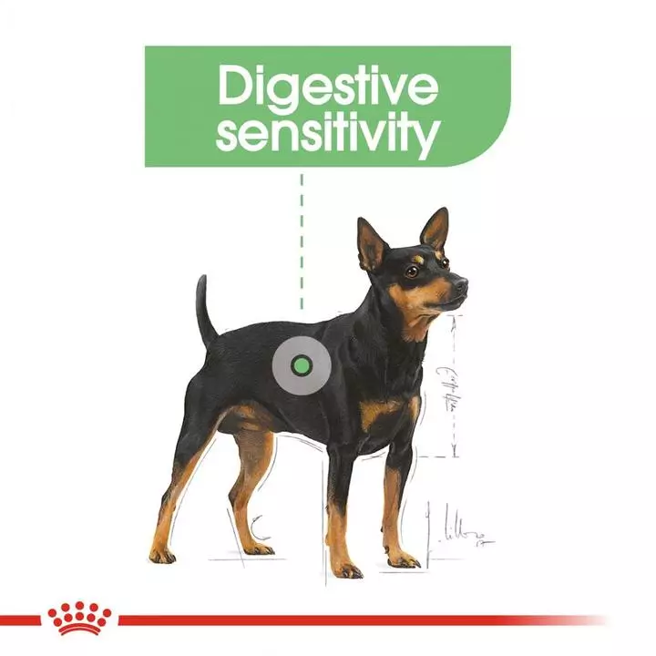 ROYAL CANIN® Mini Digestive Care Adult Dog Food 3 ROYAL CANIN® Mini Digestive Care Adult Dog Food - Image 3