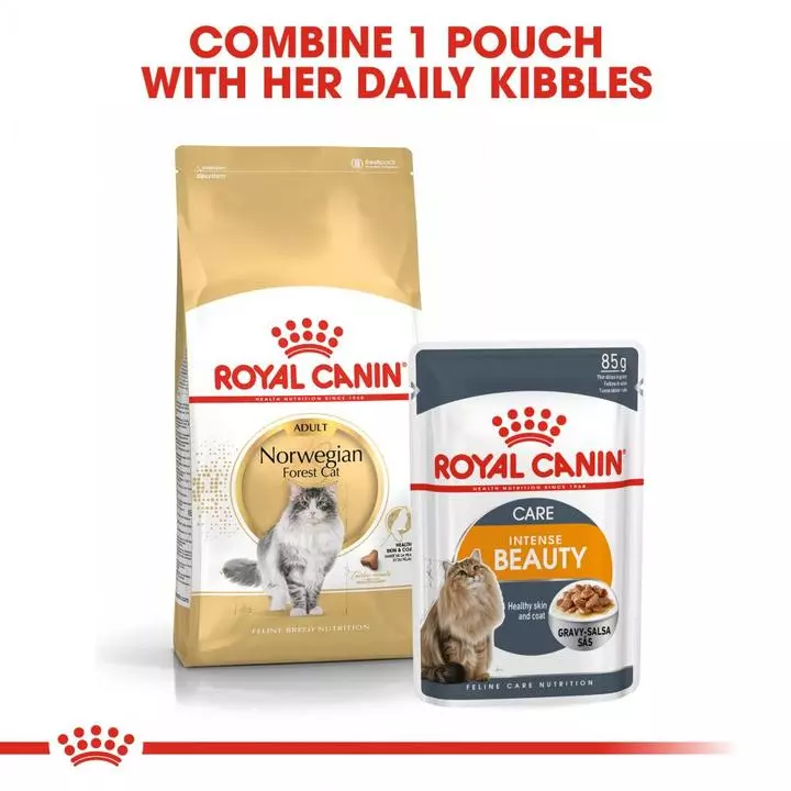 ROYAL CANIN® Norwegian Forest Adult Cat Food 4 ROYAL CANIN® Norwegian Forest Adult Cat Food - Image 4