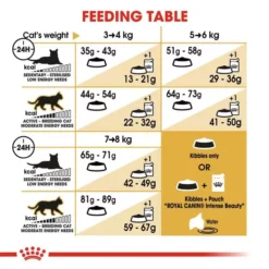 ROYAL CANIN® Norwegian Forest Adult Cat Food 6 ROYAL CANIN® Norwegian Forest Adult Cat Food -Pet World Outlet Sales norwegian forest cat pi74.jpg
