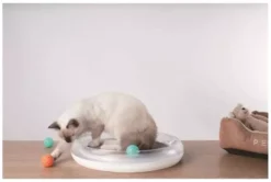 Petkit 4in1 Cat Scratcher -Pet World Outlet Sales petkit 4in1 cat scratcher oe72.jpg