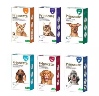 Prinocate Spot-on Solution For Cats And Dogs 1 Prinocate Spot-on Solution For Cats And Dogs