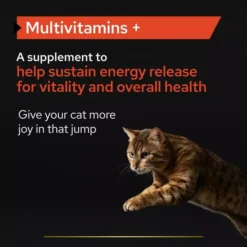 PRO PLAN Cat Adult And Senior Multivitamins Supplement Powder 12 PRO PLAN Cat Adult And Senior Multivitamins Supplement Powder -Pet World Outlet Sales pro plan cat adult and senior multivitamins supplement powder cdtg.jpg