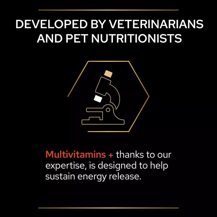 PRO PLAN Cat Adult And Senior Multivitamins Supplement Powder 6 PRO PLAN Cat Adult And Senior Multivitamins Supplement Powder - Image 6