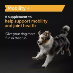 PRO PLAN Dog Adult And Senior Mobility Supplement Powder -Pet World Outlet Sales pro plan dog adult and senior mobility supplement powder gz5t.jpg
