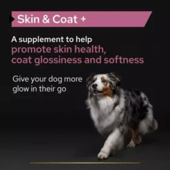 PRO PLAN Dog Adult And Senior Skin And Coat Supplement Oil -Pet World Outlet Sales pro plan dog adult and senior skin and coat supplement oil pweu.jpg