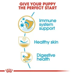 ROYAL CANIN® Pug Puppy Dog Food 10 ROYAL CANIN® Pug Puppy Dog Food -Pet World Outlet Sales pug junior s7jl.jpg