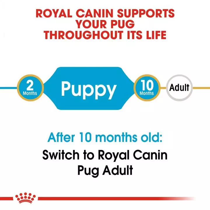 ROYAL CANIN® Pug Puppy Dog Food 2 ROYAL CANIN® Pug Puppy Dog Food - Image 2