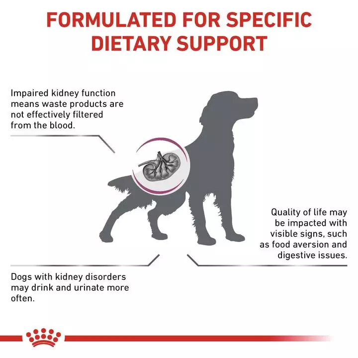 ROYAL CANIN® Renal Adult Dog Food 2 ROYAL CANIN® Renal Adult Dog Food - Image 2