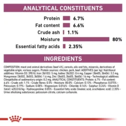 ROYAL CANIN® Renal Adult Wet Cat Food -Pet World Outlet Sales renal ns5n.jpg