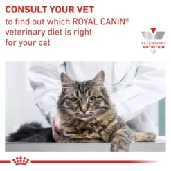 ROYAL CANIN® Renal Adult Wet Cat Food -Pet World Outlet Sales renal yofp.jpg