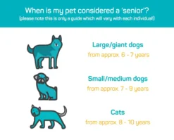 RenewMe™ Vitality & Cognitive Support Capsules For Cats & Dogs -Pet World Outlet Sales renewme vitality cognitive support capsules for cats dogs u64t.jpg
