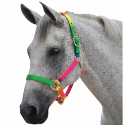 Roma Rainbow Headcollar