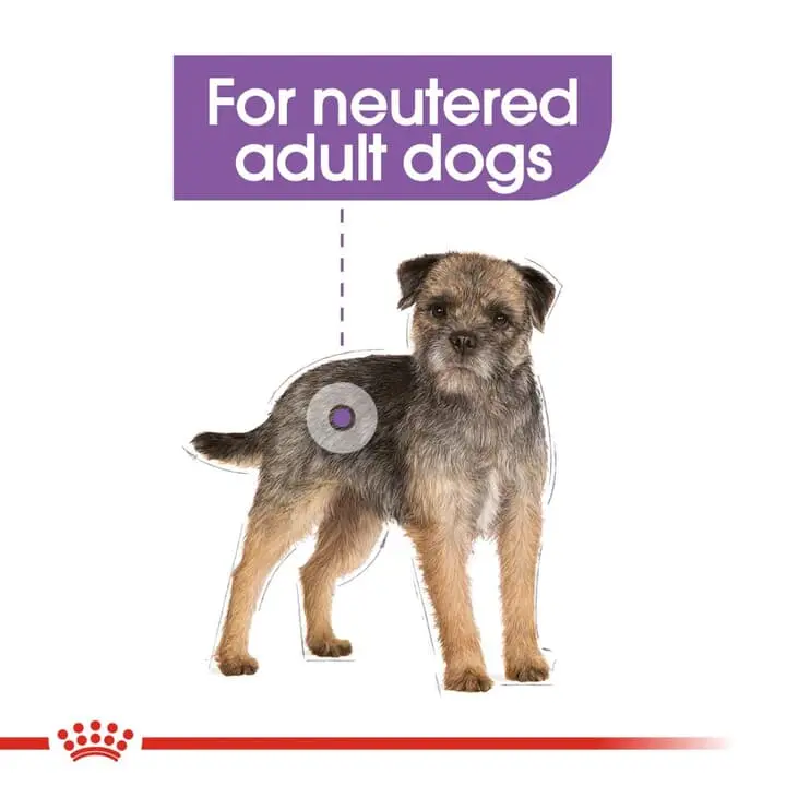 ROYAL CANIN® Mini Sterilised Care Adult Dog Food 2 ROYAL CANIN® Mini Sterilised Care Adult Dog Food - Image 2