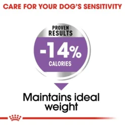 ROYAL CANIN® Mini Sterilised Care Adult Dog Food 8 ROYAL CANIN® Mini Sterilised Care Adult Dog Food -Pet World Outlet Sales royal canin canine care nutrition mini sterilised dog food xqa4.jpg