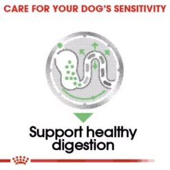 ROYAL CANIN® Digestive Care Adult Wet Dog Food -Pet World Outlet Sales royal canin digestive care adult wet dog food p79x.jpg