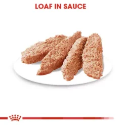 ROYAL CANIN® Digestive Care Adult Wet Dog Food -Pet World Outlet Sales royal canin digestive care adult wet dog food w5rc.jpg