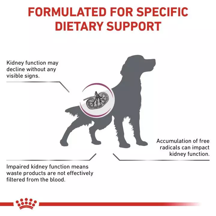 ROYAL CANIN® Early Renal Adult Dry Dog Food 2 ROYAL CANIN® Early Renal Adult Dry Dog Food - Image 2