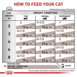 ROYAL CANIN® Gastro Intestinal Adult Cat Food -Pet World Outlet Sales royal canin gastro intestinal adult cat food t2em.jpg