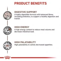 ROYAL CANIN® Gastro Intestinal Adult Cat Food -Pet World Outlet Sales royal canin gastro intestinal adult cat food z6c7.jpg